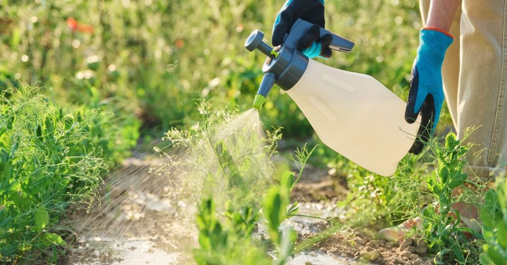 controle de pragas em Caxias do Sul