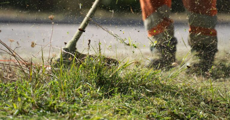 corte de grama em Caxias do Sul
